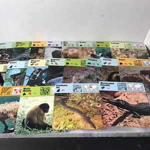 Vintage 1976 Editions Recontre Animals Flash Card Information Card Lot of 20 - Random Card Lot of Animal Photo Cards!