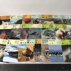 Edições Vintage 1976 Recontre Animals Cartão Flash Cartão de Informações Lote de 20 - Cartão Aleatório Lote de cartões com fotos de animais!