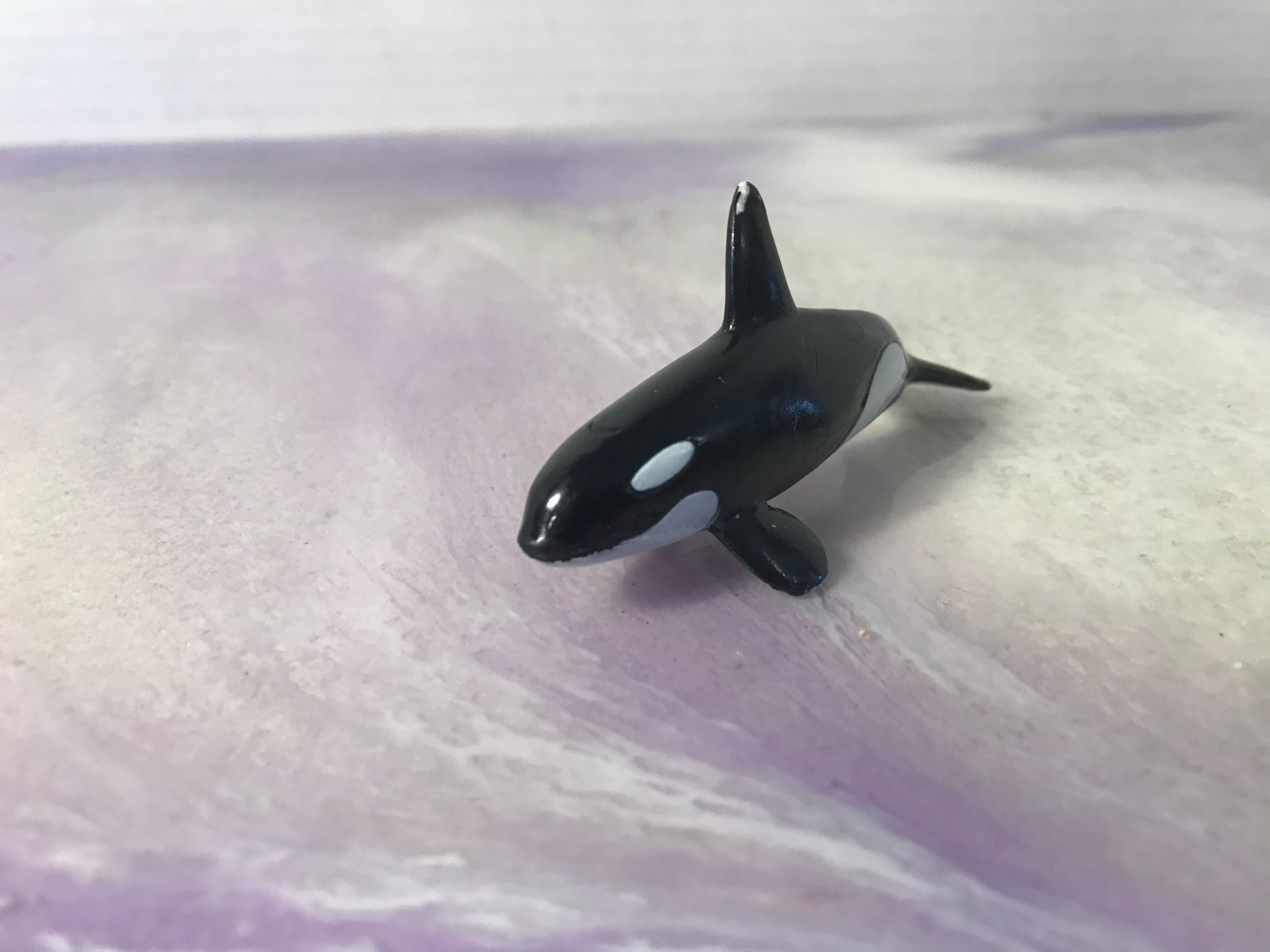 Killer Whale 完成品 Amazon.com: Safari Ltd. Killer Whale (Orca) Figurine