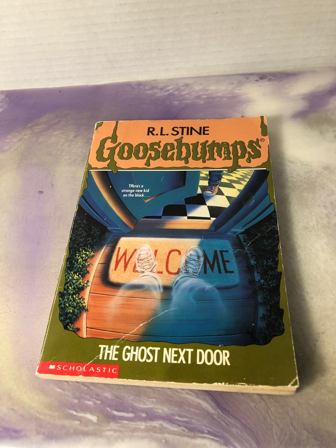 Vintage the Ghost Next Door goosebumps 10 by R.L. Stine paperback Book Vintage 90