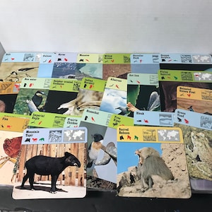 Vintage 1976 Editions Recontre Animals Flash Card Information Card Lot of 25 - Random Card Lot of Animal Photo Cards!