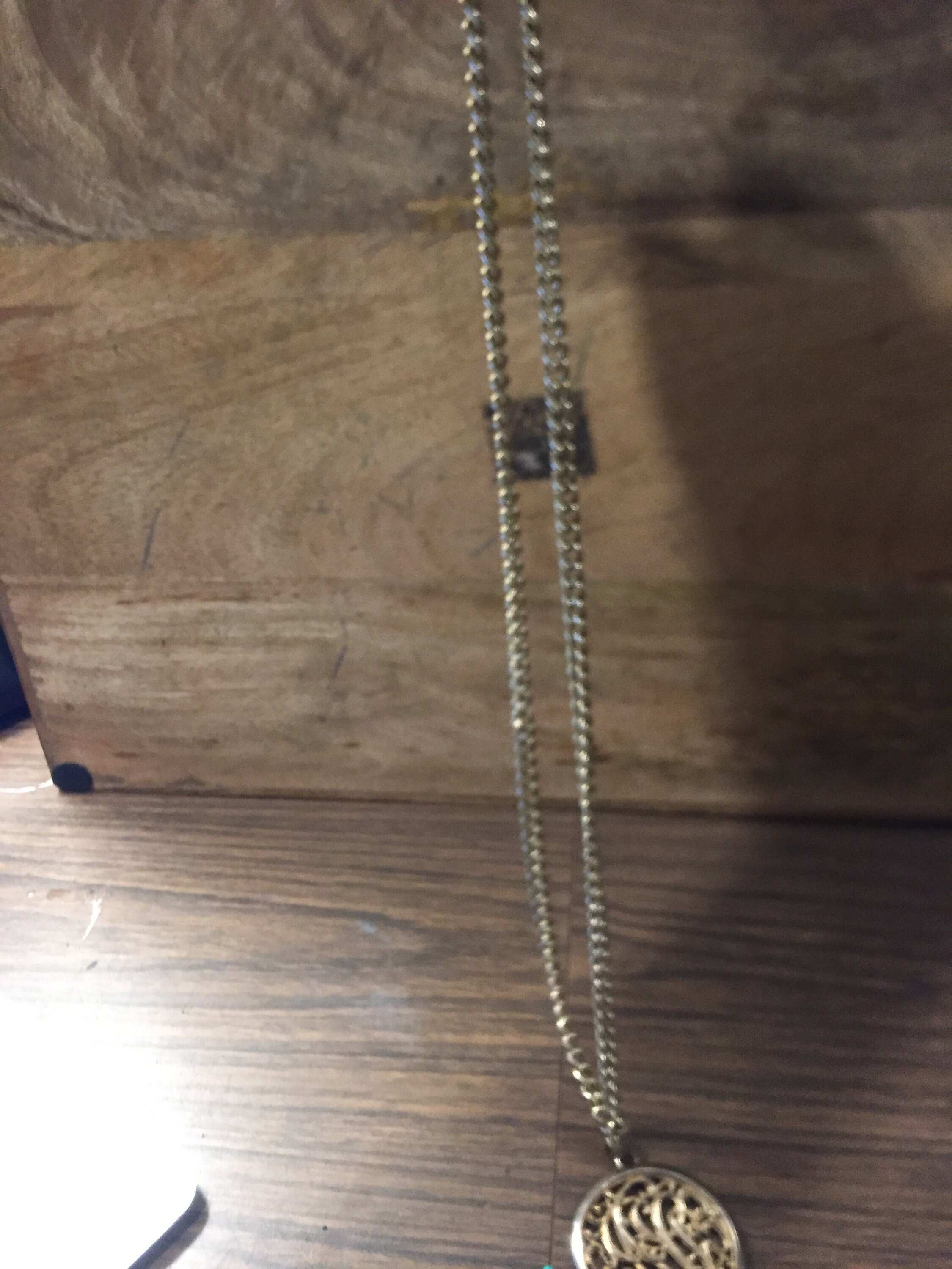 ヴィンテージコスチュームジュエリーチェーンとペンダント - 希少な