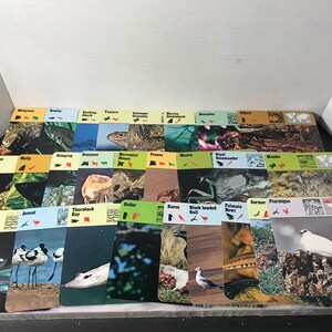 Vintage 1976 Editions Recontre Animals Flash Card Information Card Lot of 25 - Random Card Lot of Animal Photo Cards!