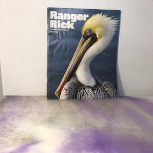 Vintage Marzo 1992 - Ranger Rick Magazine - Rare Vintage Nature Themed Kids Magazine