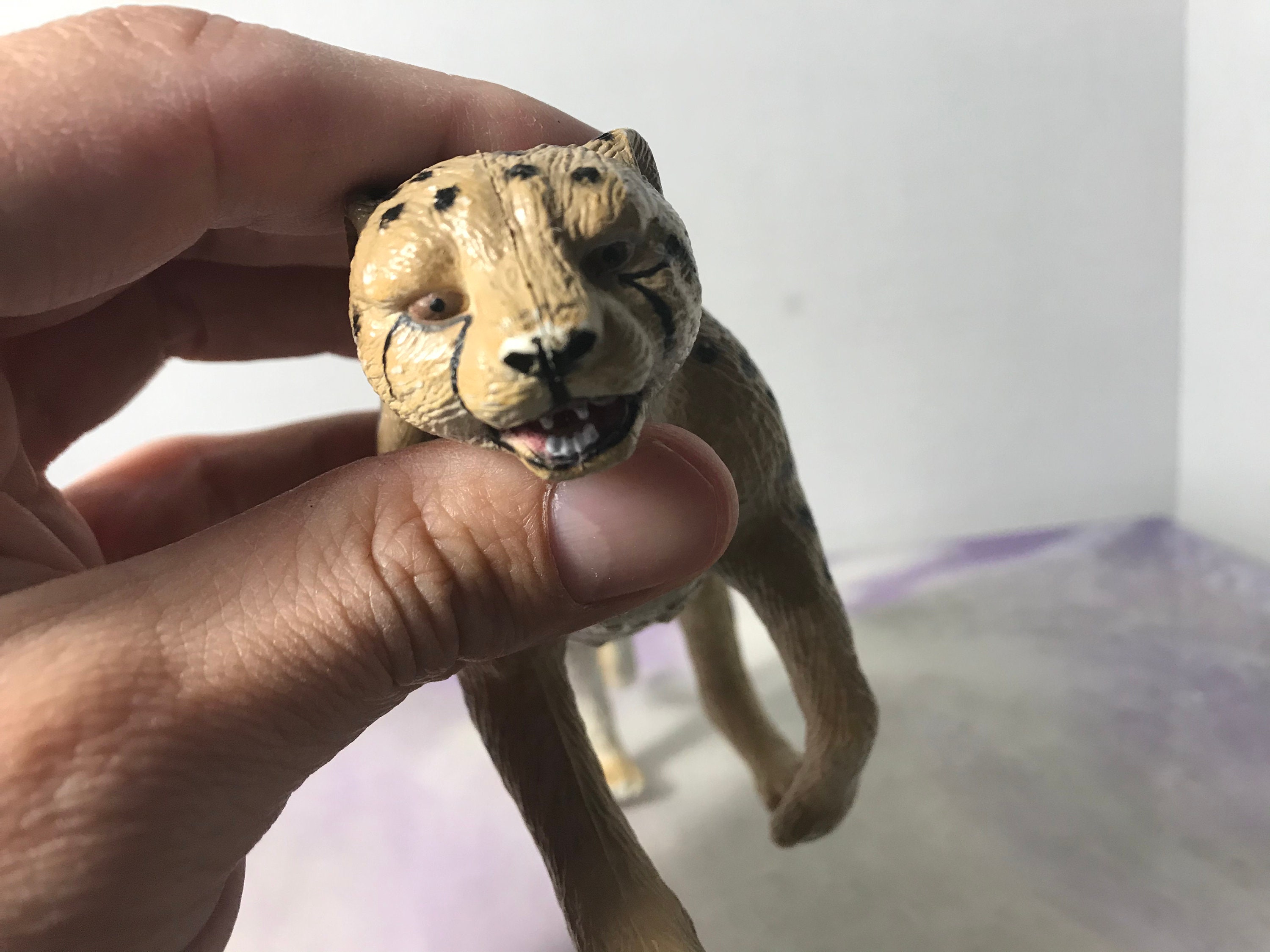 Amazon.com: Randimals Tiger with Squirrel Tail Figurine Toy