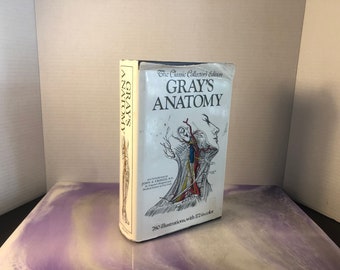 greys anatomy medical book