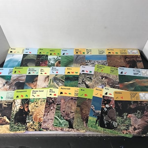 Vintage 1976 Editions Recontre Animals Flash Card Information Card Lot of 25 - Random Card Lot of Animal Photo Cards!