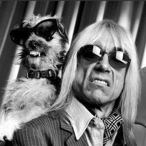 iggy pop et les comparses des années 1970