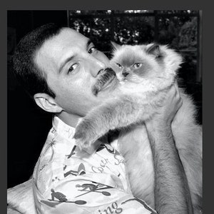 FREDDIE MERCURY , and his cat !