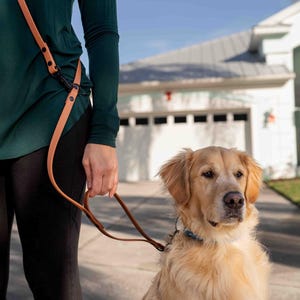5/8&quot; Hands-Free BioThane Dog Leash: Adjustable, Waist-worn, Crossbody, Traffic Handle, Waterproof