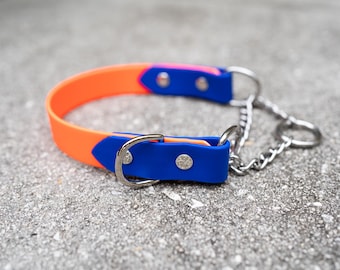 1" Two-Tone BioThane Martingale Dog Collar: Waterproof, Custom Colors