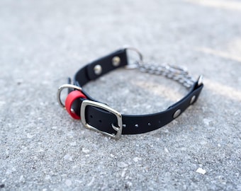 Waterproof BioThane Martingale Dog Collar: Solid Brass Hardware, Adjustable 1"