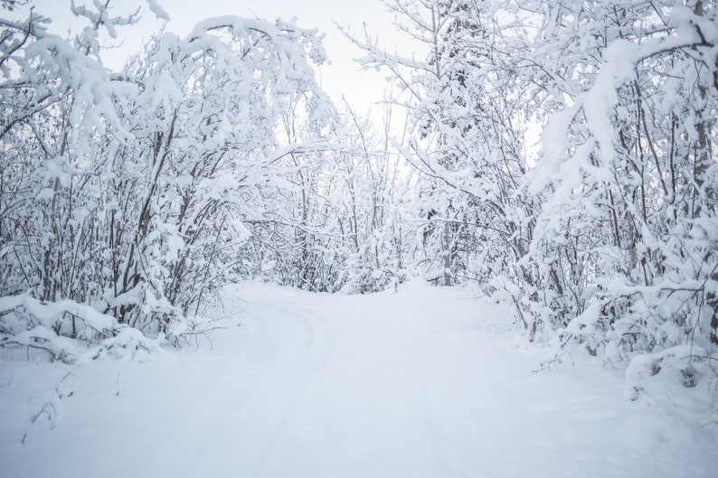 zoom background images winter