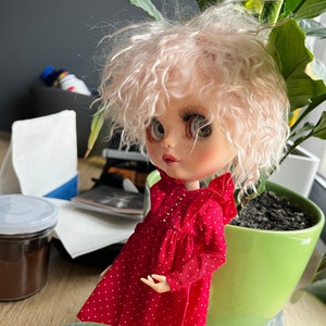 Puede incluir: Una muñeca Blythe con cabello rizado rosa claro y ojos grandes, vestida con un vestido rojo con lunares blancos. La muñeca está colocada frente a una planta en maceta verde, con un frasco y otros objetos en el fondo.