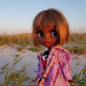 May include: A doll with brown skin, long brown hair, and blue eyes is wearing a pink jacket with a watermelon print and a pink bag. The doll is standing in a field of tall grass.