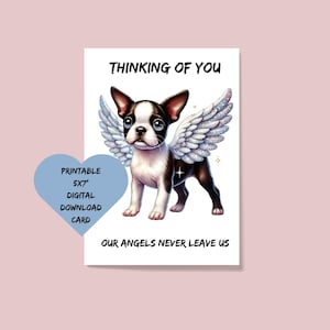 Carte de sympathie à imprimer pour le parent du Boston Terrier