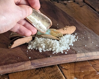 Ceramic Tea spoons | Spice Spoon | Tea Scoop | Salt Spoon | Chasaji