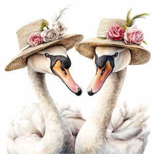 20 élégantes paires de cliparts PNG PNG portant des chapeaux de paille avec des roses – Art numérique romantique de cygnes blancs pour une décoration printanière