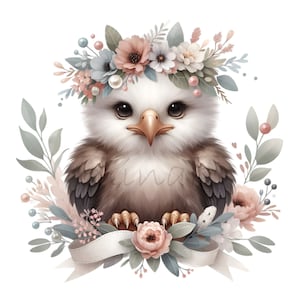 10 cliparts floral bébé aigle - oiseau mignon PNG - art animalier de chambre d'enfant des bois pour baby shower, cartes de voeux et décoration murale