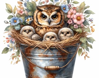 15 Owl Family PNG, Bucket Nest Clipart, Wildflower Bird Art