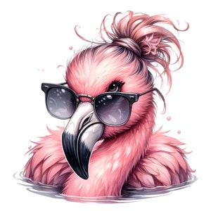 Pájaro divertido, flamenco, clip art, rosa, 15 PNG