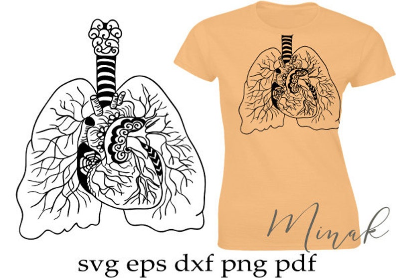 Free Free Heart Anatomy Svg 211 SVG PNG EPS DXF File