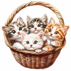 12 匹のかわいい子猫の PNG クリップアート - 籐のバスケットに入った愛らしいふわふわの子猫 - 昇華印刷とプリント用のデジタル猫アート