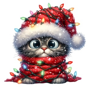 12 Cute Christmas Cat PNG Clipart With Blue Hat and Lights, Big-eyed ...