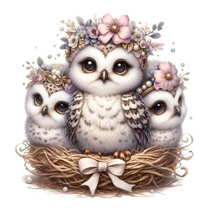 15 PNG floral hibou famille clipart - hiboux mignons dans leur nid PNG - art animalier de la forêt pour cartes, décoration de chambre d'enfant, sublimation, scrapbooking