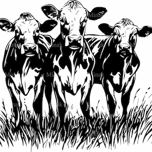May include: A black and white illustration of three cows standing in tall grass. The cows are facing forward, with detailed shading and a stylized design. The image has a clean, graphic style, suitable for farm-themed decor or art.