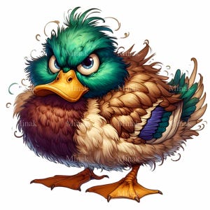 12 PNG Angry duck clipart – Grumpy bird PNG – Funny animal for mugs, shirts, sarcasm gifts, crafting, sublimation