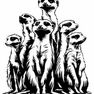 4 Familia de suricatas SVG, Archivo de corte de vida silvestre, Grupo de suricatas curiosas Clipart para Cricut y Silhouette