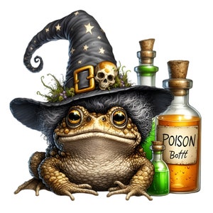 12 Crapaud sorcière PNG, crapaud magique avec des cliparts de bouteilles de potion, téléchargement numérique grenouille effrayante d'Halloween