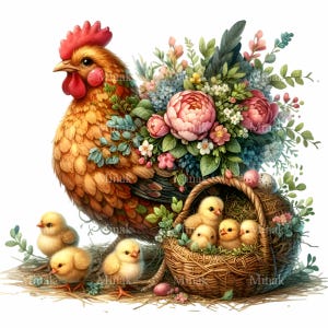 14 cliparts PNG poule et poussins, poulet floral avec panier et œufs, téléchargement numérique des animaux de la ferme printanière pour travaux manuels par sublimation