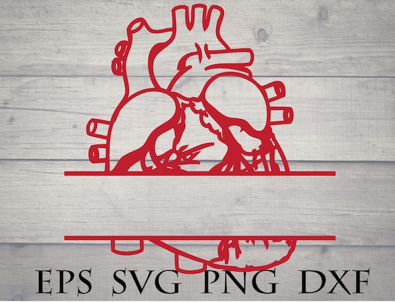 Download Human Heart Svg Anatomical Heart Svg Split Monogram Svg Etsy