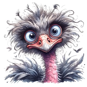 Ostrich Clipart, Emu Clip Art, 15 PNG Funny Bird - Etsy