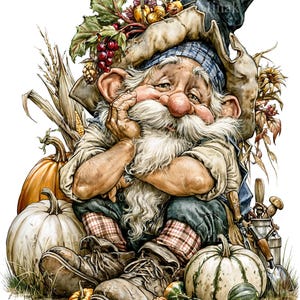 May include: A detailed illustration of a gnome with a long white beard and a large pointed hat adorned with autumn leaves, berries, and small pumpkins. The gnome wears plaid pants and brown boots, surrounded by various pumpkins, gourds, and garden tools.