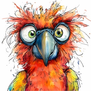 12 imágenes PNG de loros divertidos: cara de loro colorida de ojos grandes y plumas extravagantes. Arte digital de acuarela de aves divertidas.
