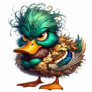 12 imágenes PNG de pato gruñón, pájaro colorido con plumas esponjosas y pelo salvaje, arte divertido de ánade real, descarga digital