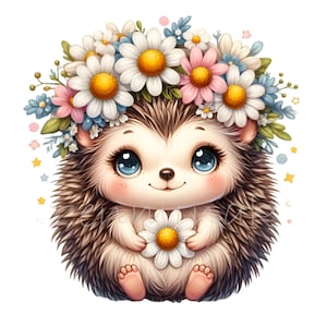 Imágenes prediseñadas de erizo, 12 imágenes prediseñadas de erizo floral PNG, ilustración de vivero de animales bebés, fabricación de tarjetas del día de la madre, tarjeta de sublimación imprimible