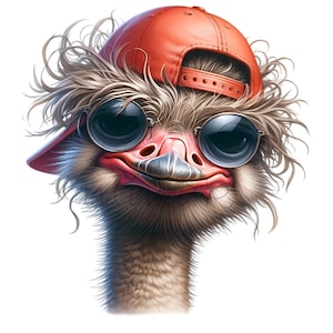 15 PNG Cool ostrich clipart - Funny ostrich with sunglasses PNG - Hipster bird art for crafters, stickers, kids designs, sublimation