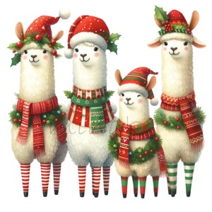 15 alpacas navideñas PNG – Familia de llamas PNG – Clipart navideño para tarjetas de invierno, ropa festiva, imprimibles para fiestas infantiles