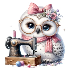 Schnee Eule Clip Art, 12 PNG Nähhandwerk, Näherin Nähmaschine, Sublimationsdrucke Kartenherstellung, Babyparty, Illustrationsgrafik