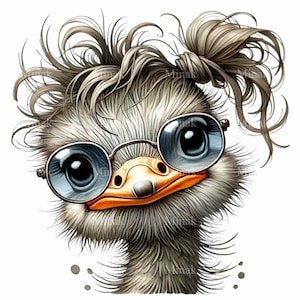 12 imágenes prediseñadas de avestruz divertidas: avestruz peculiar con anteojos y cabello salvaje: ilustración de pájaro caprichoso
