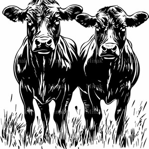 2 fichiers SVG deux vaches curieuses SVG, Duo d'animaux de la ferme Illustration, paire de vaches debout dans les cliparts de champ herbeux