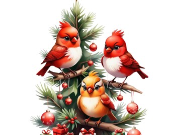 28 Cardinali invernali PNG, clipart per albero di Natale, amici pennuti delle feste