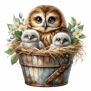 Puede incluir: Un búho marrón y blanco con ojos grandes se sienta en un cubo de madera con dos búhos bebés. El cubo está lleno de paja y rodeado de hojas verdes y flores blancas.