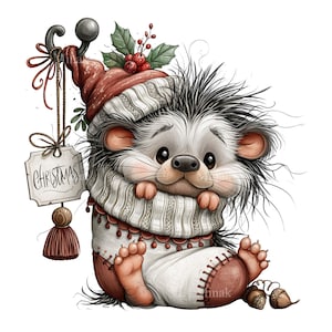 Op de afbeelding: Een grillige illustratie van een egel met een rood-witte gebreide muts en sjaal, zittend in een witte kerstsok. Een label dat aan een haakje boven de sok hangt, bevat de tekst "CHRISTMAS" in cursief schrift. De egel heeft stekelig haar.