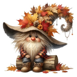 14 imágenes PNG de gnomos de otoño, gnomos otoñales con hojas, arte rústico de gnomos, decoración de temporada con especias de calabaza, descarga digital