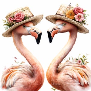 20 PNG élégant flamant rose, clipart chapeau floral vintage, art numérique oiseau fantaisie, mariage tropical sublimation téléchargement